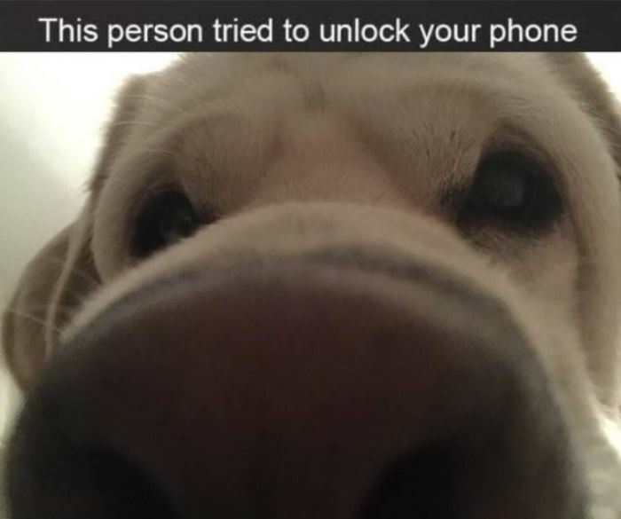 Unlocked Your Phone