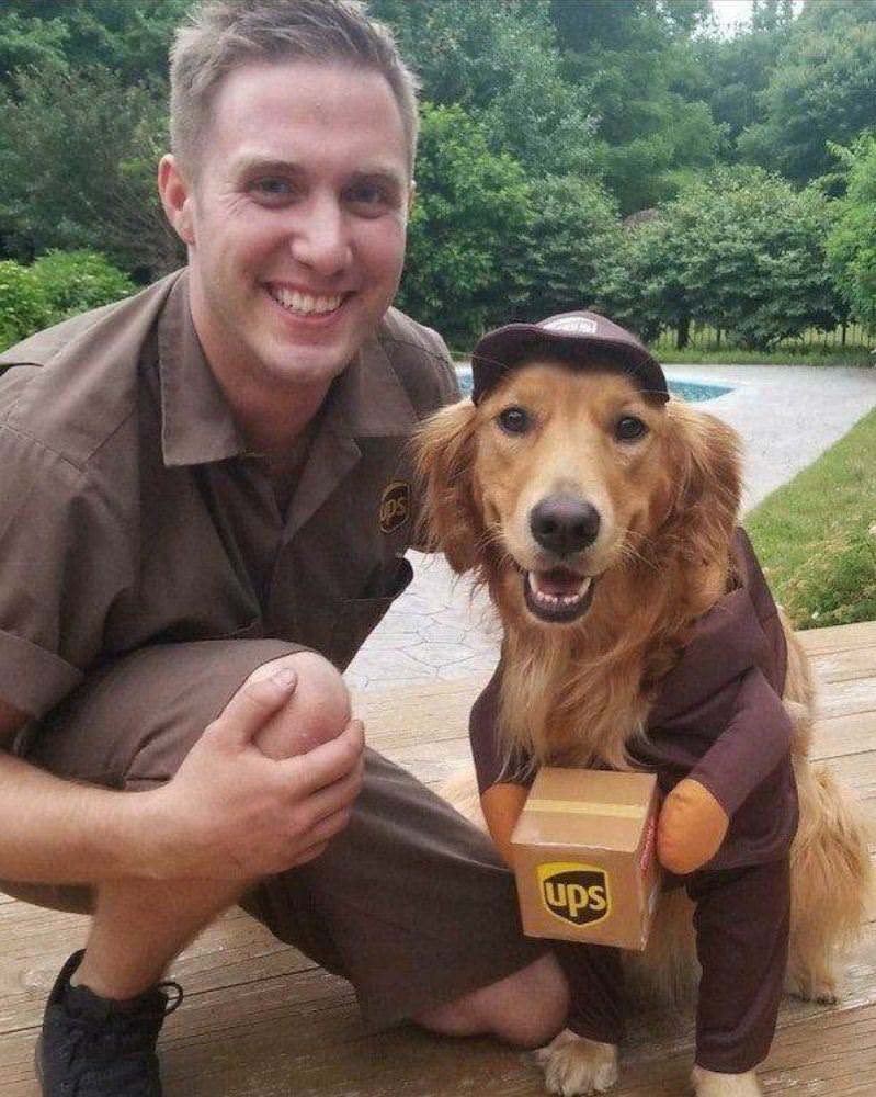 Ups Dog