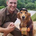 Ups Dog