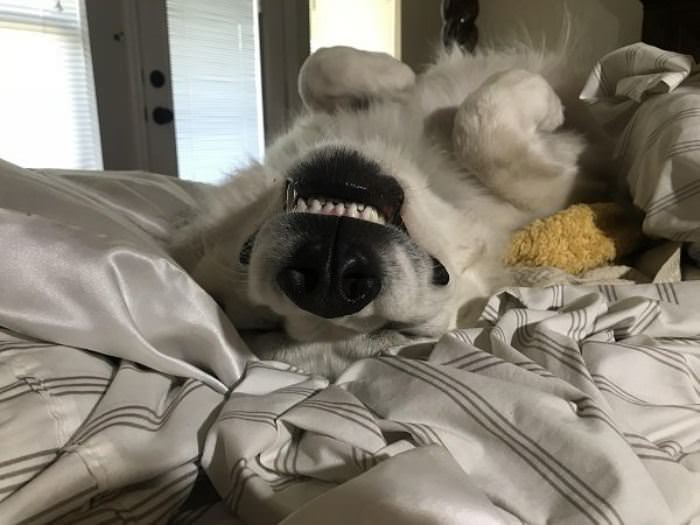 Upside Down Sleeper