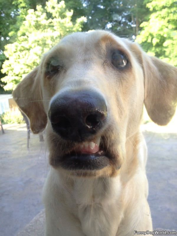 Waiting For Her Breakfast