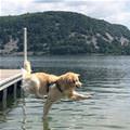 Walking On Water