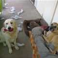 Wasnt Me I Swear