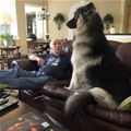 Watching Everything