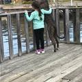 Watching The Birds