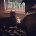 Watching The Outdoors