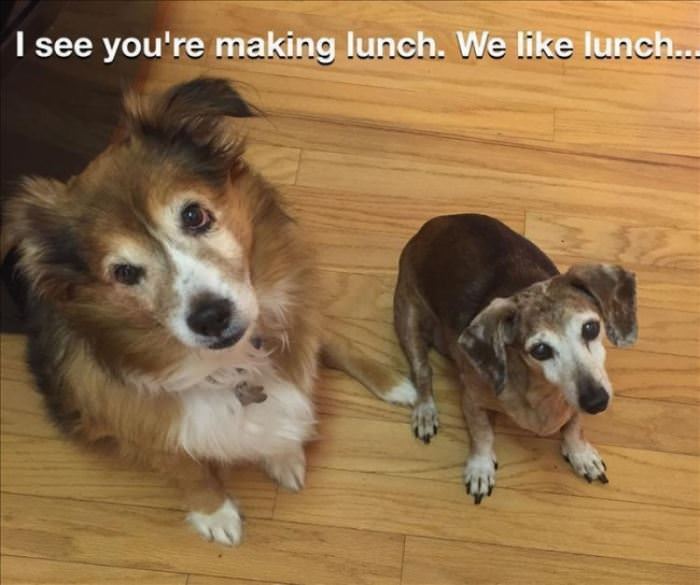 We Also Happen To Like Lunch