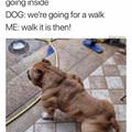 We Are Going For A Walk