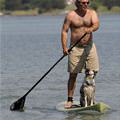 funny dog 4