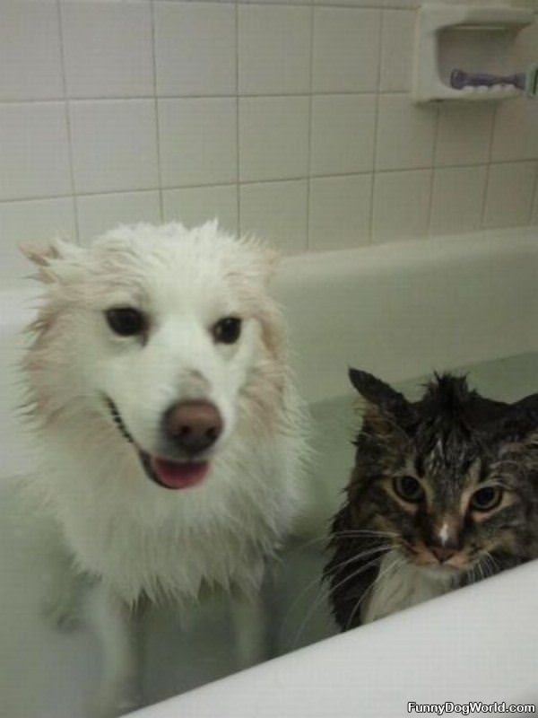 We Are Having Bath Time