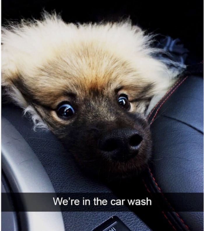 We Are In The Car Wash