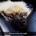 We Are In The Car Wash