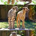 We Are The Bestest Of Friends