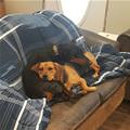We Could Use Another Blanket