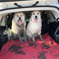 We Need A Bath