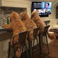 We Own This Bar