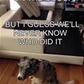 We Will Never Know