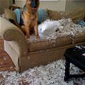 Welcome Home