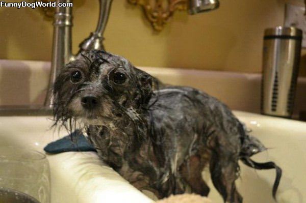 Wet Bath Time