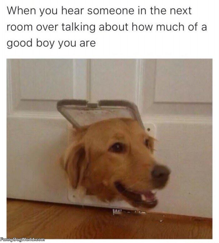 What A Good Boy You Are