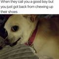 What A Good Boy
