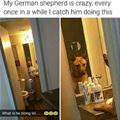 What Is He Doing