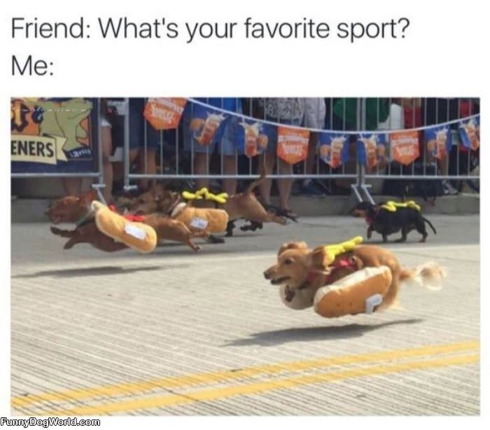 What Is Your Favorite Sport