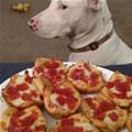 funny dog 3