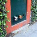 Whats Going On Out Here