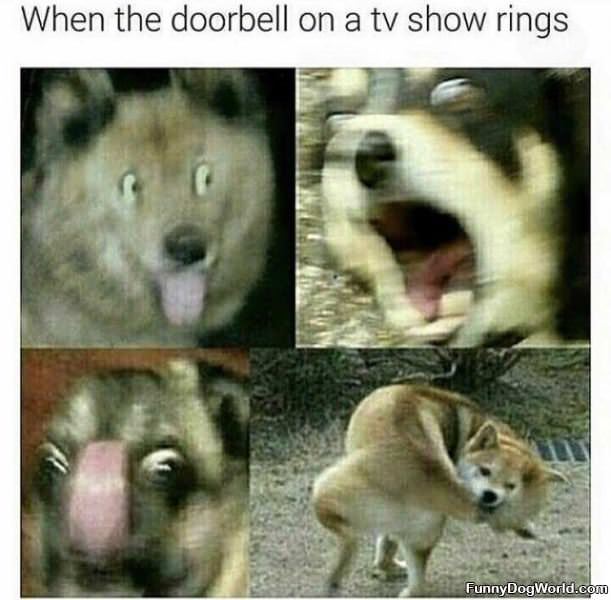 When A Doorbell Rings On Tv