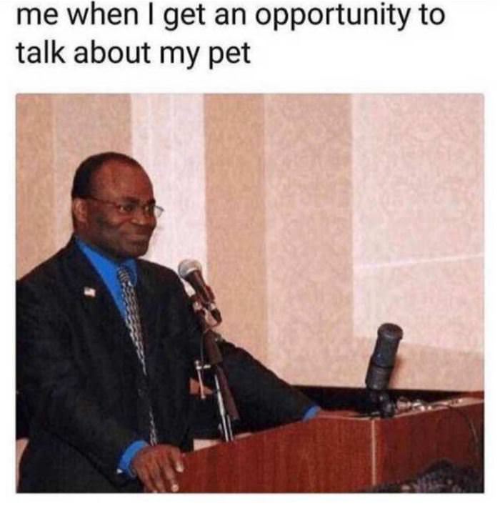 When I Get An Opportunity