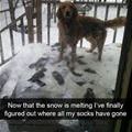 Where Did My Socks Go