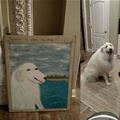 Where The Dog Is