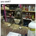 Which Do You Seek