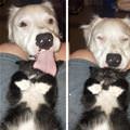 Who Is Kissing Me