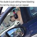 Who Let The Dogs Out