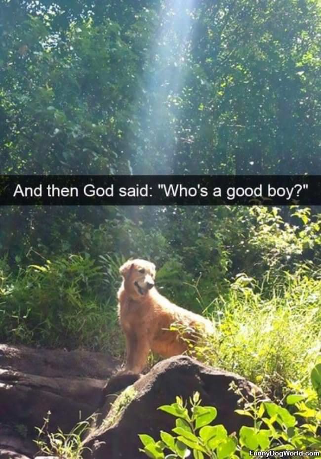 Whos A Good Boy