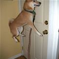Whos Home Whos Home