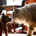 Will You Be My Friend