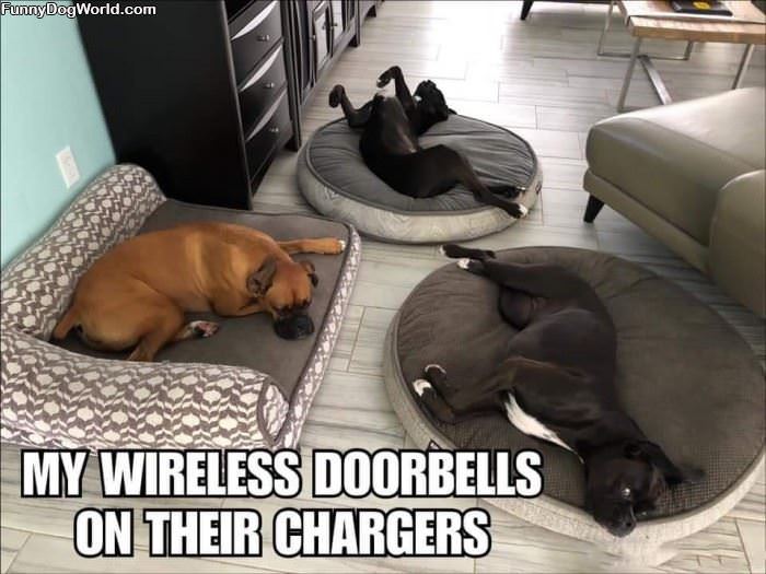 Wireless-doorbells