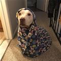 Wrapped Up