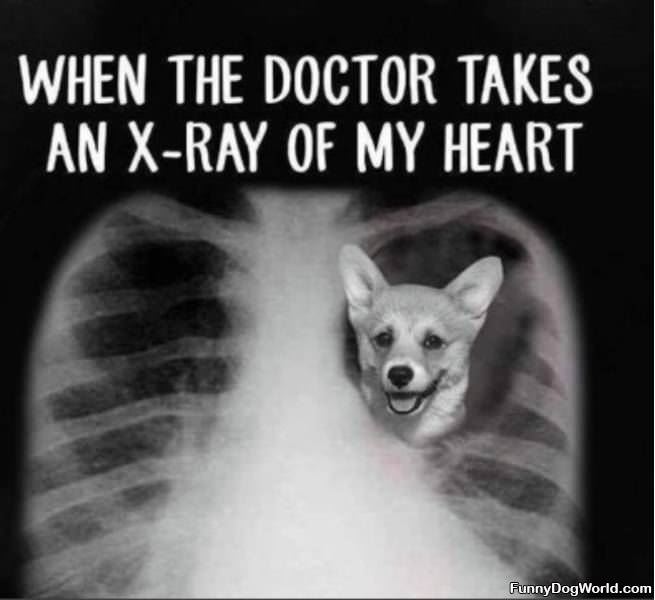 Xray Of My Heart