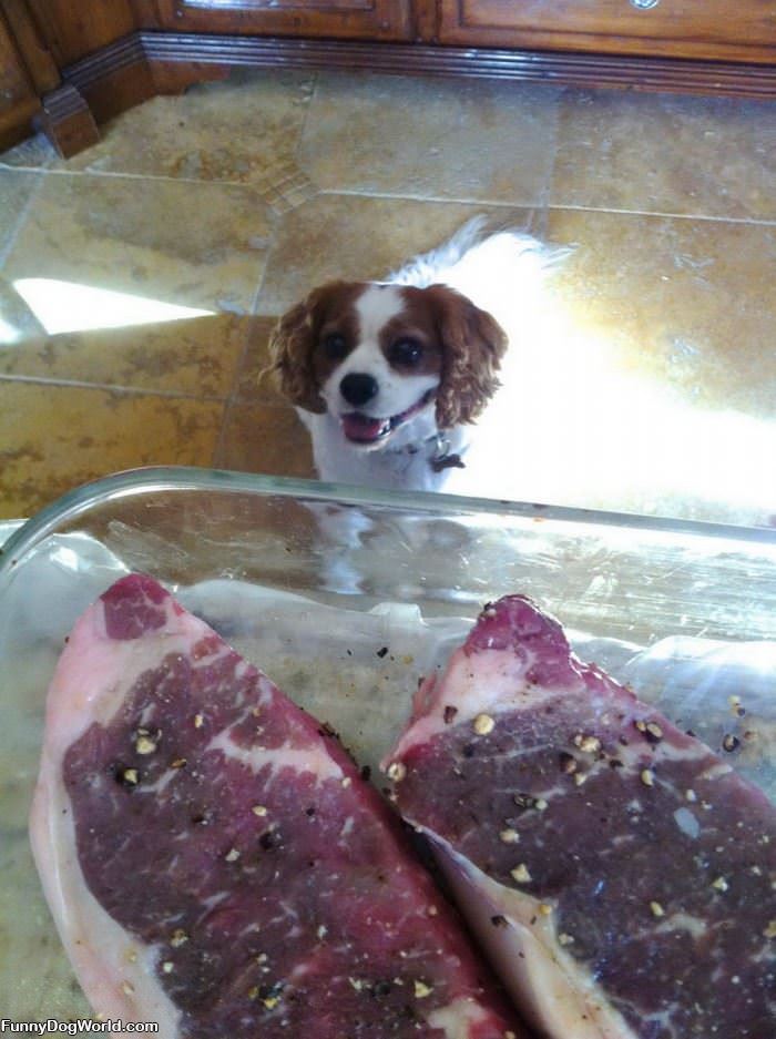 Yes Steak Please