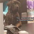 Yes We Accept