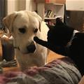 You Back Off