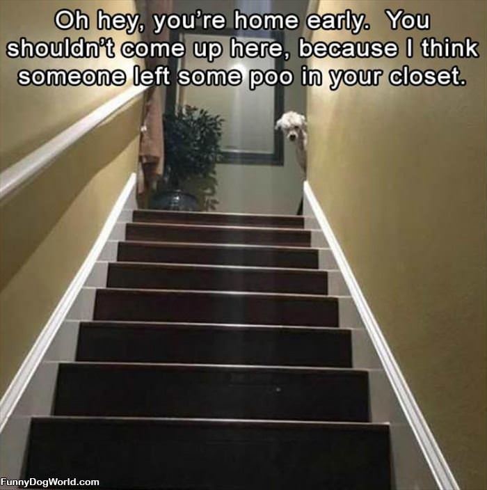 You Came Home Early