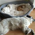 You Took My Bed