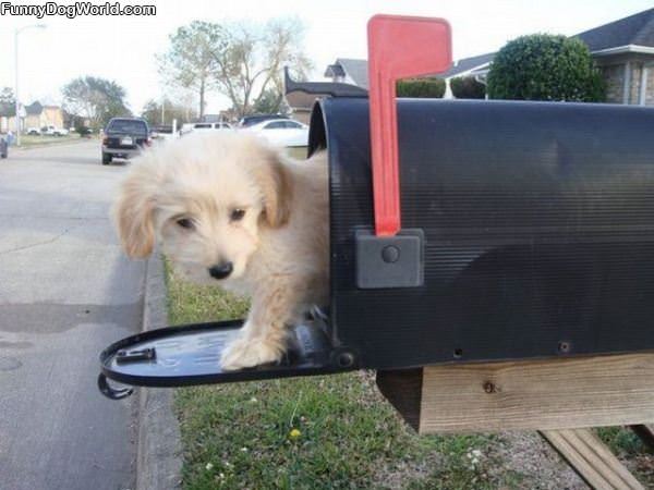 Youve Got Mail