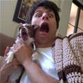 funny dog 1